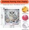 4 Pack Bird Diamond Painting Kits for Adults Beginner, 5D Owl & Peacock Special Shape Diamond Art Kits, DIY Full Drill Diamond Dots with Gem Art Kits, Home Wall Decor 11.8x11.8 inch